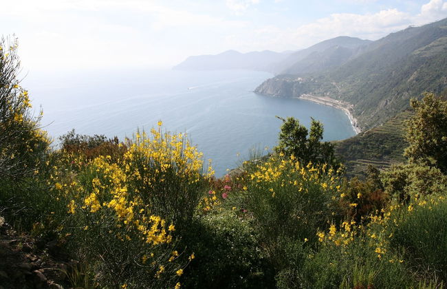 Resort Costa Morroni - Foto 61