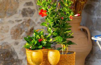 Stefanis Guest House II - Foto 6