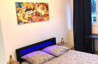 Le Canet - Appartement entier 75 m2 sur Orléans - Foto 7