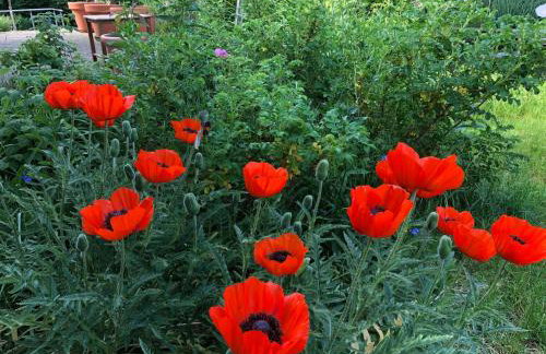 Haus Alwine - Foto 14