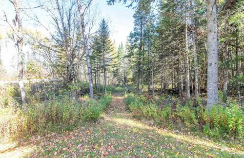 3BR 2BA with direct VAST Trail access on 10 Acres - Foto 26