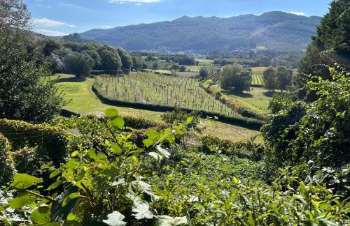 Swimming Pool Bedroom at Casa dos Macieis, Camino Santiago direct access & Optional Agritourism - Foto 28