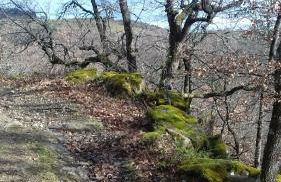 Sur les Rives du Haut Allier - Foto 33