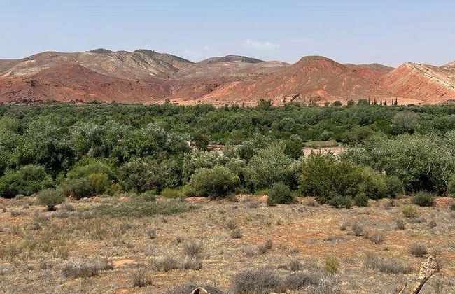 Three Valleys & Atlas Mountains Tour + Lunch - Photo 8