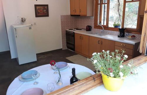 Σπίτι σε ελαιώνα, house in an olive grove - Foto 12