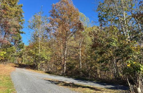 The Lily Pad Cabin, 19 Private Acres, Fire Pit - Foto 28