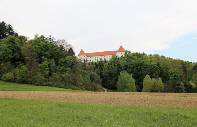 Authentic Wooden House Sleme - Foto 31