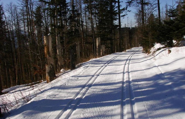 Quaint Holiday Home in Železná Ruda near Ski Area - Foto 29