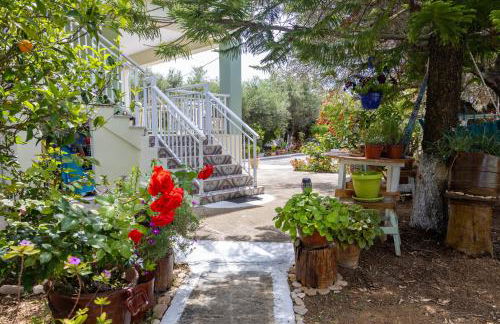 SEA & OLIVES HOUSE - Photo 35