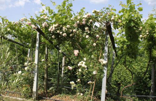 Holiday Home Villa Bobolino - Foto 28