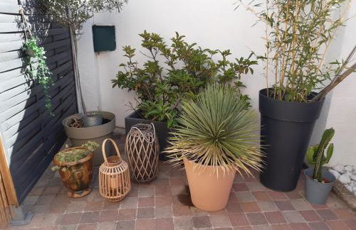 Grand studio avec patio - Foto 17