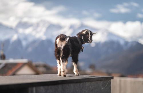 Maraias - Luxury Suites & Apartments - Foto 24