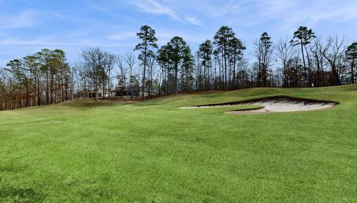 Golden Tee Golf Retreat - Foto 3