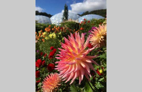 Stunning cosy barn in peaceful rural Cornwall - Photo 31