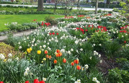 Ferienhof Martens - Foto 9