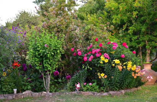 Mirsini Apartments - Foto 56