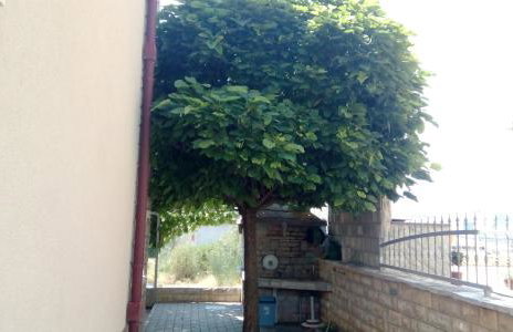 Apartments Martina - Foto 19