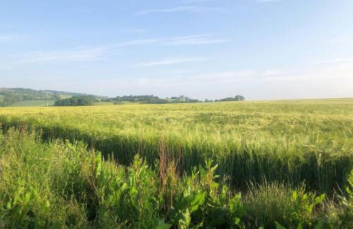 The Old Coach House - Photo 11