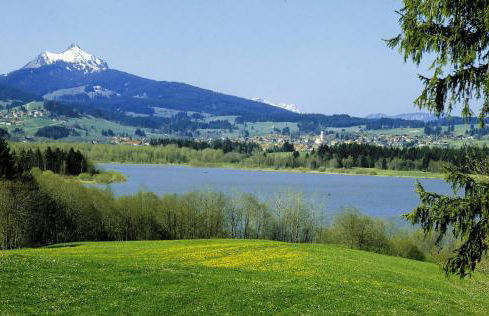 Ferienwohnung mit Dampfbad - Photo 14
