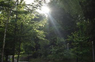 Hacienda domek całoroczny z jacuzzi w lesie pod Rzeszowem - Foto 31