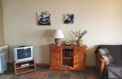 Finca AliBaba - Foto 48