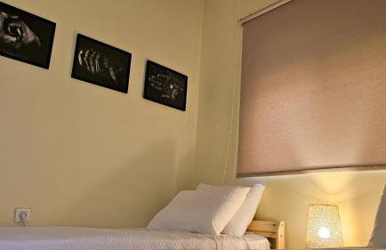 The 20A Terminal Stay N Fly - Foto 33