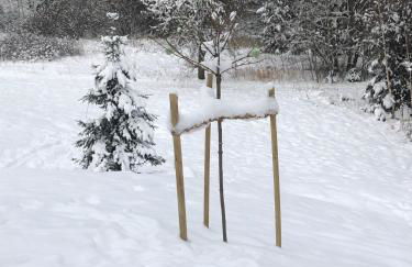 Appartement Max - Foto 43