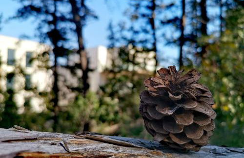 Luxury apartment Marjan - Black - Photo 27