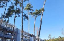 Apartament 45 Baltic Park Pogorzelica - Foto 19