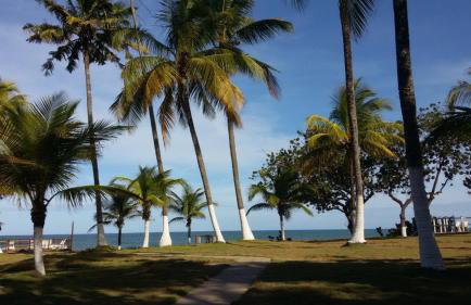 Flat Ilhéus - Jubiabá Olivença - Photo 40