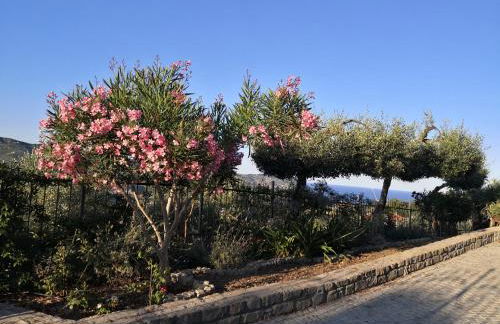 Casa Leonardo a Poggi - Foto 71