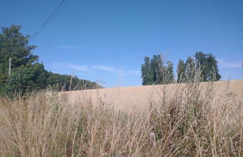 Quirky, romantic cottage with garden in Wye Valley - Foto 26
