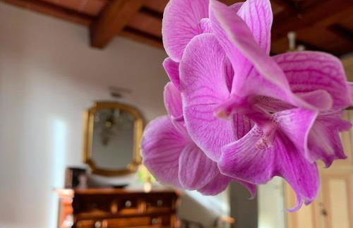 House with a view in Tuscany - Foto 15