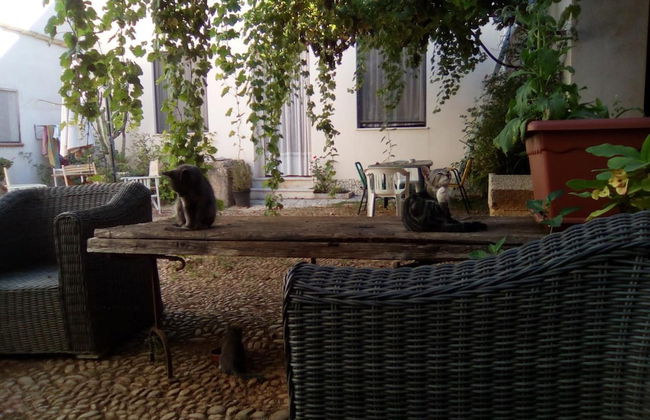 Agriturismo Castelluzzo - Foto 33