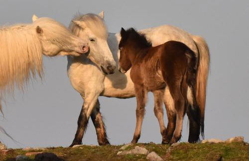 Beachcombers - Foto 33