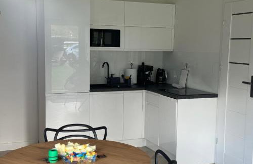 Borowe Apartamenty - Photo 13