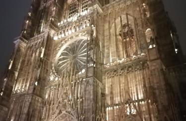 Entre 2 Rives Strasbourg-Kehl - Foto 1