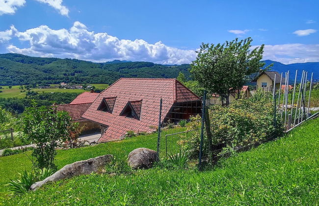 Vineyard cottage Kralj - Foto 20