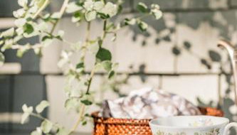 Recharge at Tranquil Sea Salt Cottage in Historic Wiscasset - Foto 3