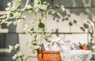 Recharge at Tranquil Sea Salt Cottage in Historic Wiscasset - Foto 3