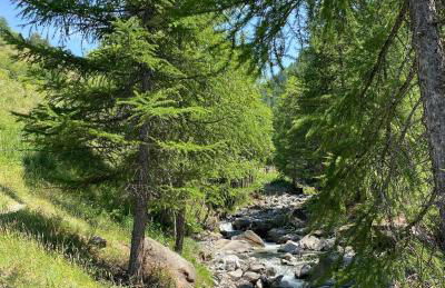 Studio 4 pers à 100m des pistes- Vars les claux - Foto 39