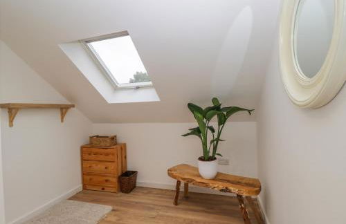 Little Foxes - Photo 33