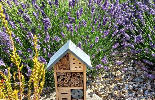 Ferienwohnung Wettin - Foto 6