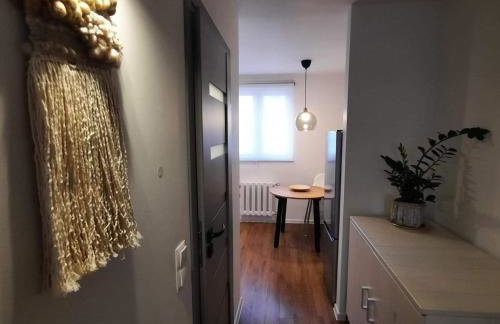 M37 x Fabryczna - Photo 7