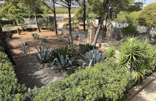 Masseria La Camardia - Foto 57