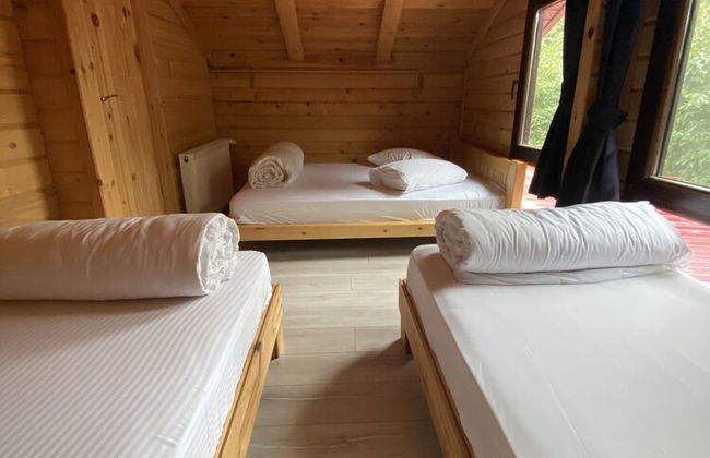 Villa Gencal Ayder - Photo 25