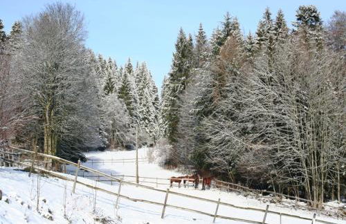 Ferienwohnung im Schwarzwald mit Garten - Foto 28
