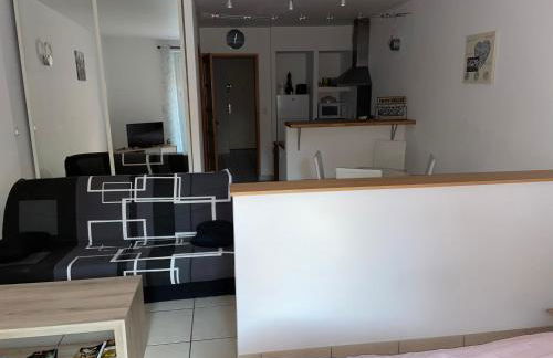 Studio 4 couchages avec terrasse proximité du lac - Foto 6