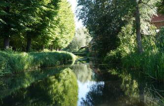 FeWo Elbdeichliebe - Photo 36