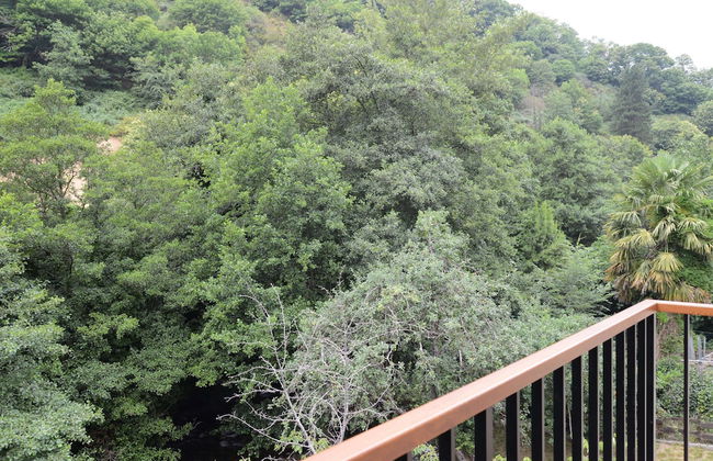 El Rincón de Limés - Foto 9